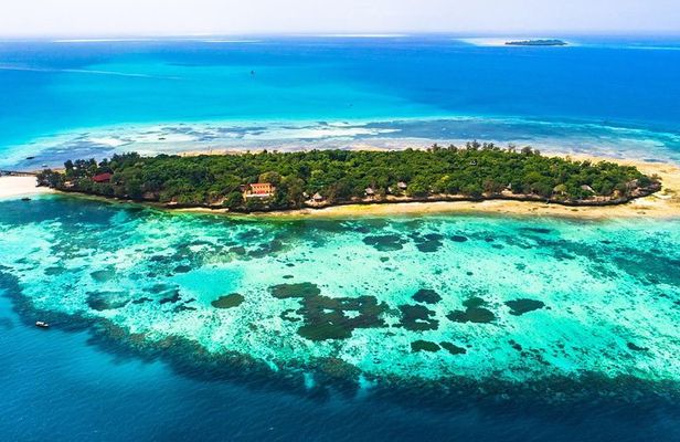 Prison Island Half-Day Tour from Zanzibar