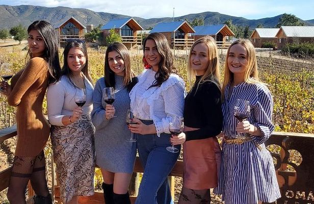 Valle de Guadalupe Wine Tour