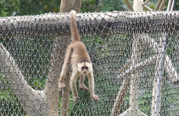 Half Day Guayaquil History Tour and Ecuadorian Cuisine with Cocoa