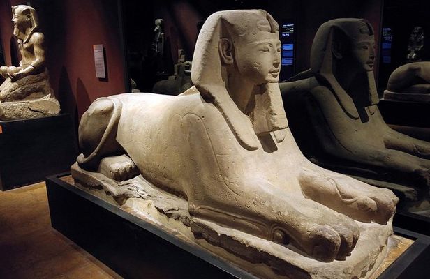Turin: Egyptian Museum 2-hour monolingual guided experience
