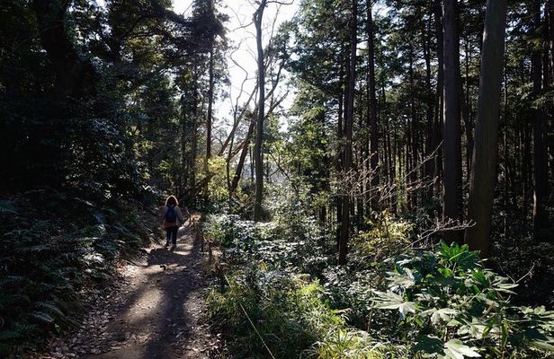 Kamakura One Day Hike Tour with Government-Licensed Guide