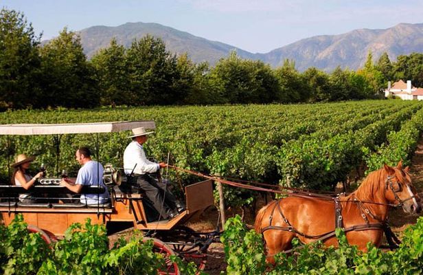 Colchagua Valley Viñas Viu Manet and Montes Alfha