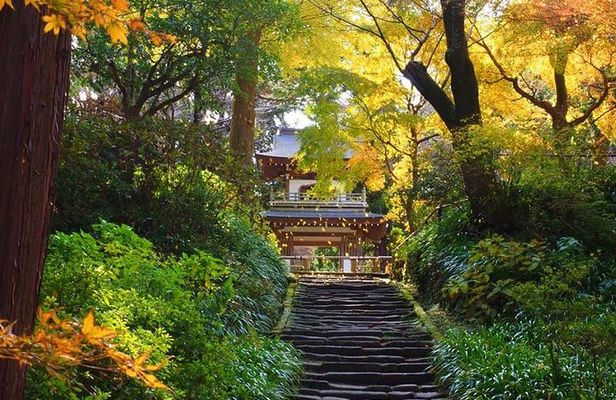 Kamakura Zen Temples and Gardens Private Trip with Government-Licensed Guide
