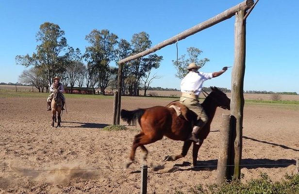 Excursion to typical estancia in the Argentinian Pampas with lunch and gauchos