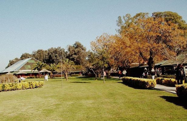 Excursion to typical estancia in the Argentinian Pampas with lunch and gauchos