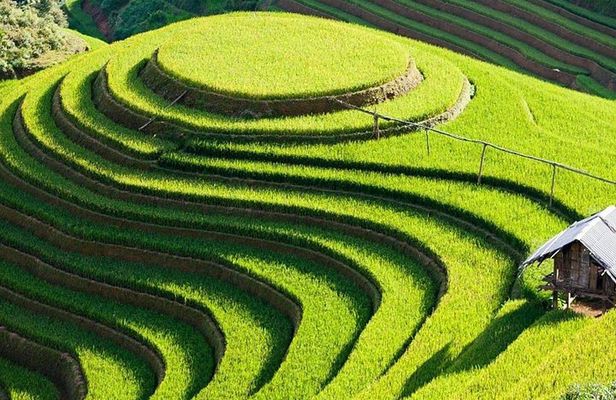 Mu Cang Chai trekking 4 days 3 nights