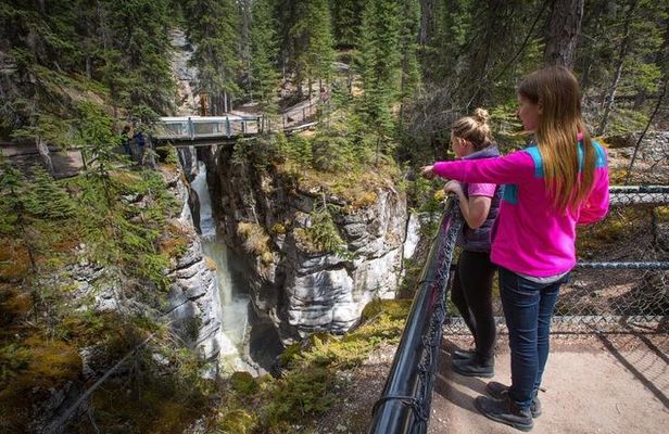 3-Day Authentic Jasper National Park Packaged Tour