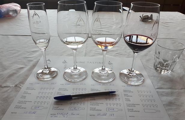 Tierras de Armenia Wine Tour