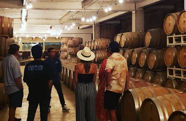 PRIVATE WINETASTING TOUR (Transportation,custom schedule)