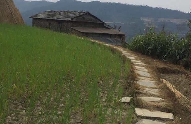 Day Hiking to Beautiful Nepali Village to Explore Nepali Culture From Pokhara