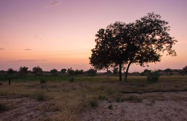 Private Jaisalmer Rural Farm Tour