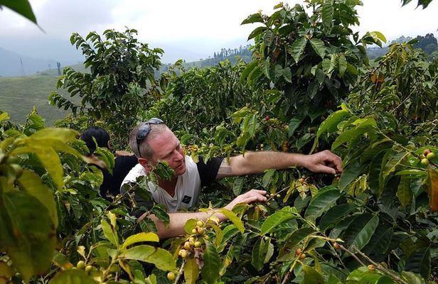 Medellin Coffee Tour