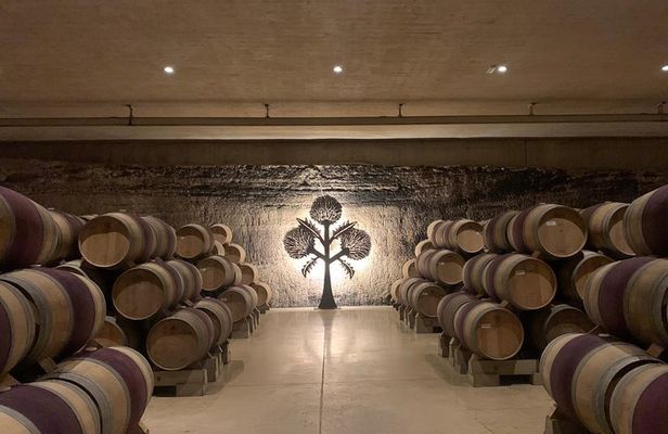 Rioja Alavesa Wineries and Medieval Villages Day Trip