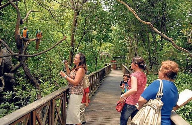 Historical Park of Guayaquil : Culture, Nature and Architecture
