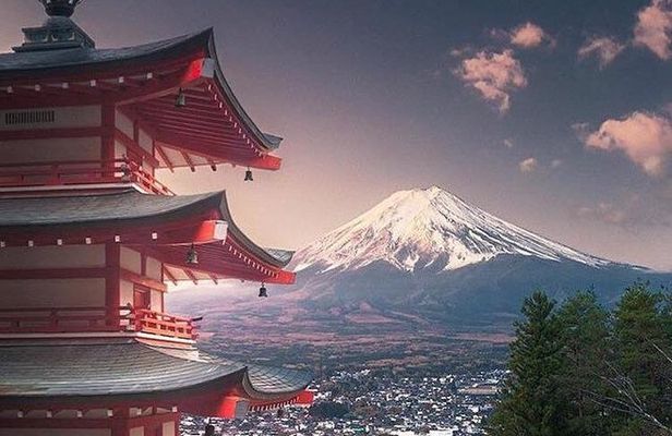 Private Sightseeing to Mt. Fuji and Hakone GREEN NUMBER PLATES