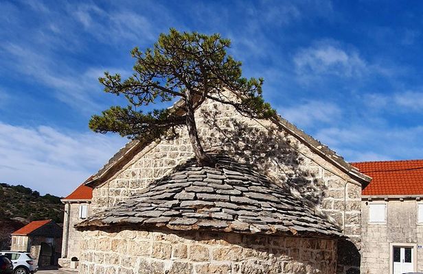 Private Day Trip TO Brač Island With Authentic lunch