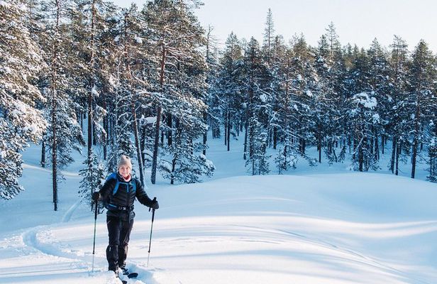 Guided Wilderness Skiing Tour In Pyhätunturi