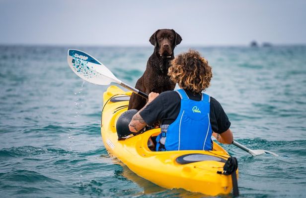 Santorini Sea Caves Kayak Trip with Snorkeling & Picnic