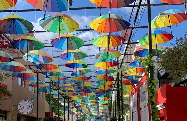 Explore Puerto Plata's Best & Cable Car - Shore Excursion