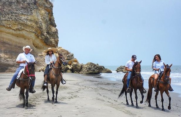 Horseback Riding on the beach with Paso Colombiano Show,Cartagena