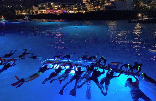 Manta Ray Night Snorkel
