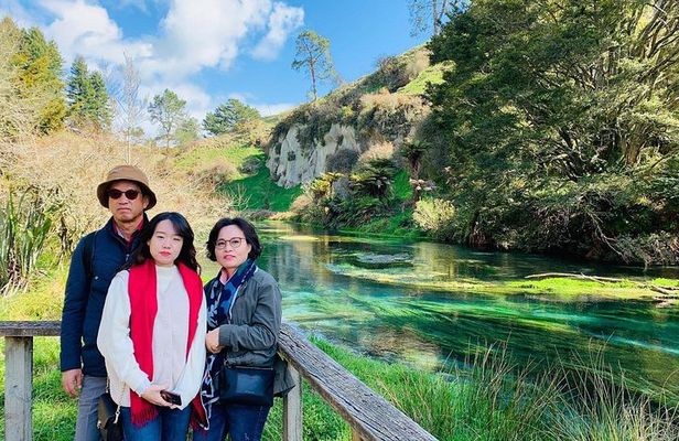 Blue Springs, Redwood Forest, Huka Falls Private tour