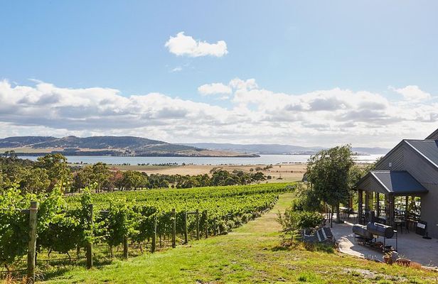 Private West Tamar Wine Tour
