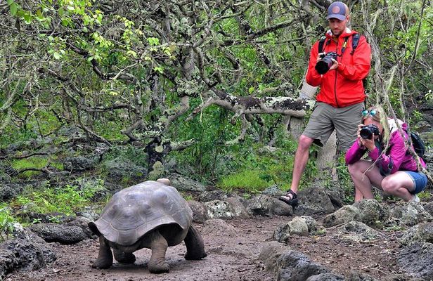 Galapagos - Exploring San Cristobal Island 4 Days
