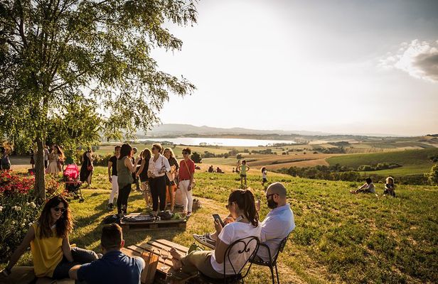 Wine Tasting & Tour Premium