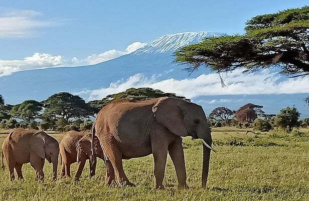 13 Days Photographers safari