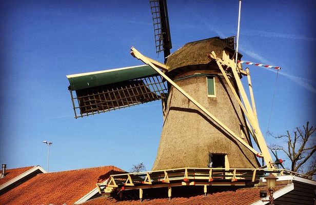 Amsterdam's Countryside Half-Day Bike Tour in Small Group 
