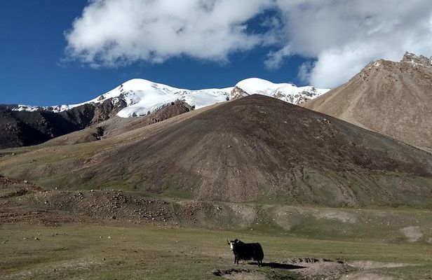 17 Days Trekking Shimshal Pass Manglik Sar (6050m Peak Pakistan
