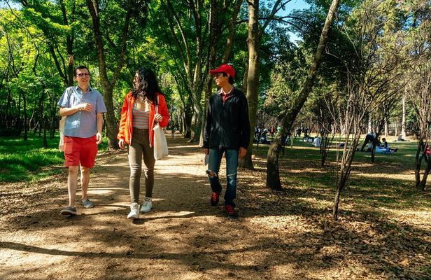 Off the Beaten Track in Mexico City: Private City Tour