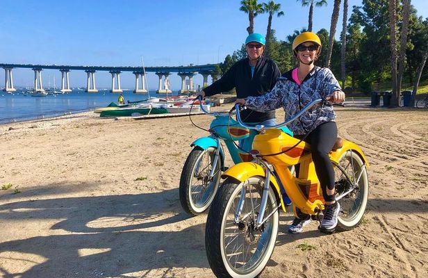 Fat woody outlet beach cruiser