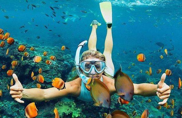 All Inclusive : Bali Blue Lagoon Snorkeling, Lunch, and Transport