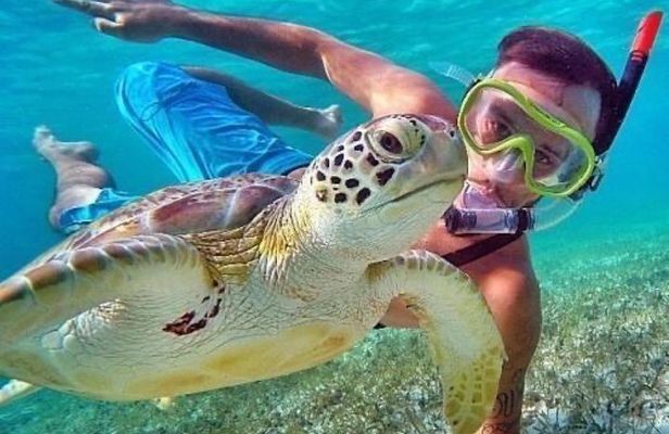 Bali Blue Lagoon Snorkeling - Lunch and Transport All Inclusive