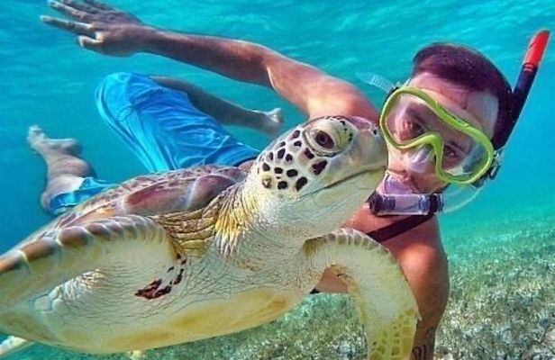 Bali : Blue Lagoon Snorkeling combine with Bali Swing in Ubud