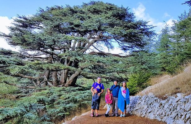 Private Trip to Beiteddine, Deir el Qamar & Maaser el Chouf Cedars