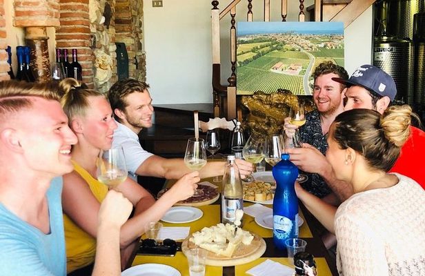 Tour in the Winery and tasting