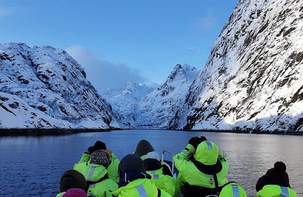 Trollfjord and Sea Eagle Safari Tour from Svolaer