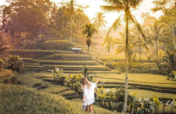 Bali Ubud private Tour with Ubud Bali Driver - FREE WIFI