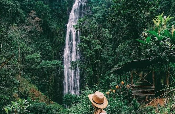 Materuni Waterfalls, coffee tour & Kikuletwa Hot Springs