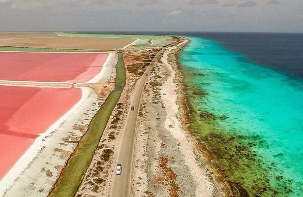 Your Guide Private Tour (North and South) Customize