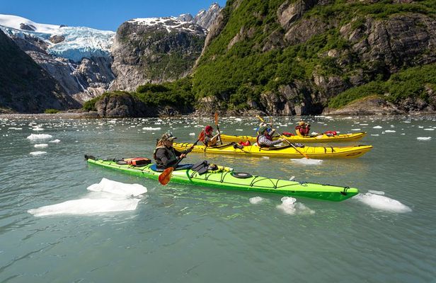 Kenai Fjords (Grand Day) Wildlife Cruise & Glacier Kayak Combo