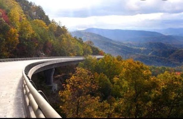 Vittles & Views Sightseeing Tour with Breakfast Included