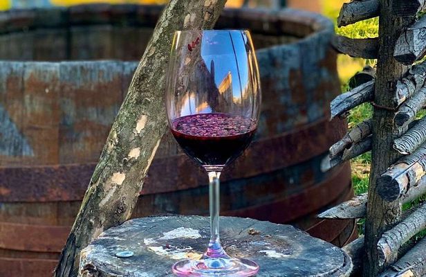 ️ Kakheti tour - Private Full Day Wine tour with Lunch and Wine tasting