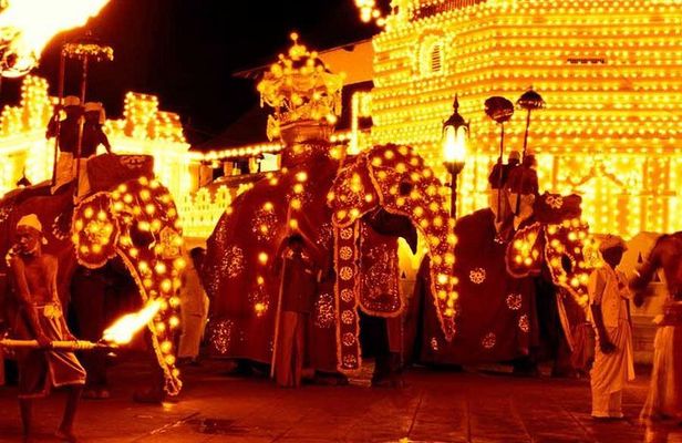 Adventures of the Last Kingdom of Sri Lanka