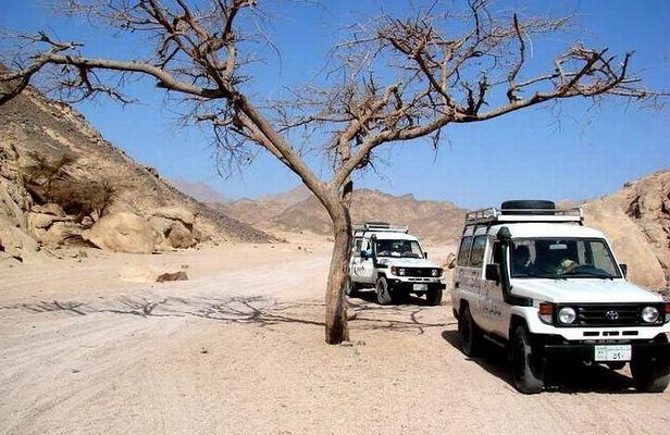 Full-Day Safari Desert Tour in Hurghada by Jeep