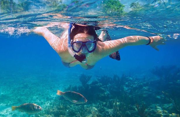 Catalina Island Tour with Snorkelling and Lunch 