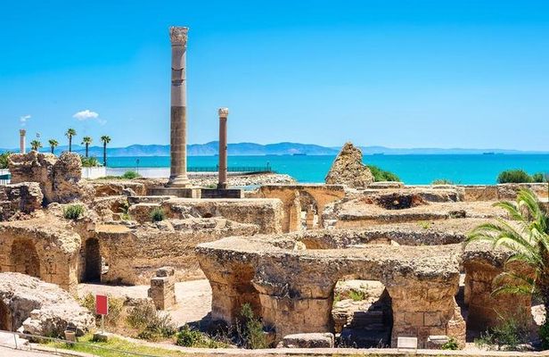 Tunis Group Tour: Carthage, Sidi Bou Said, Bardo museum & Medina